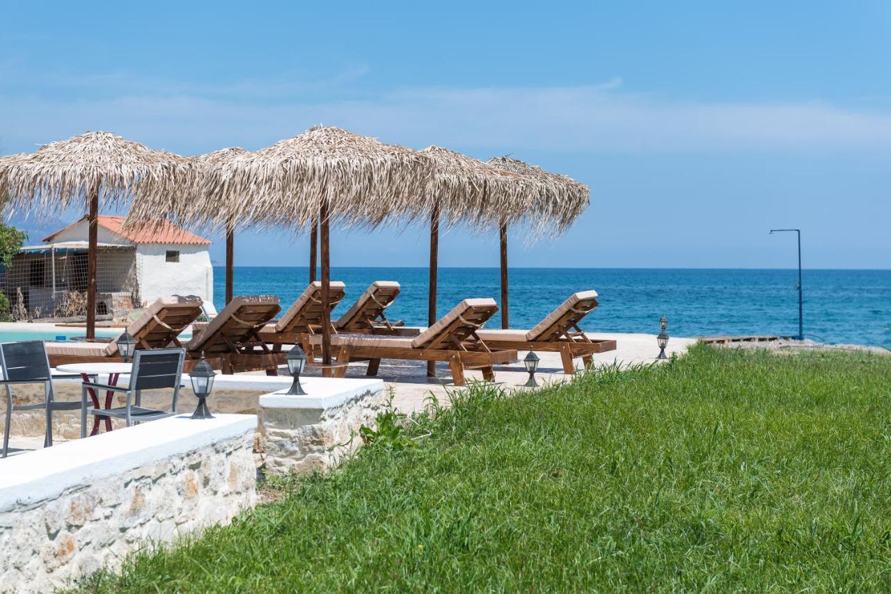 Musela Studios Episkopi-Chania Exteriör bild