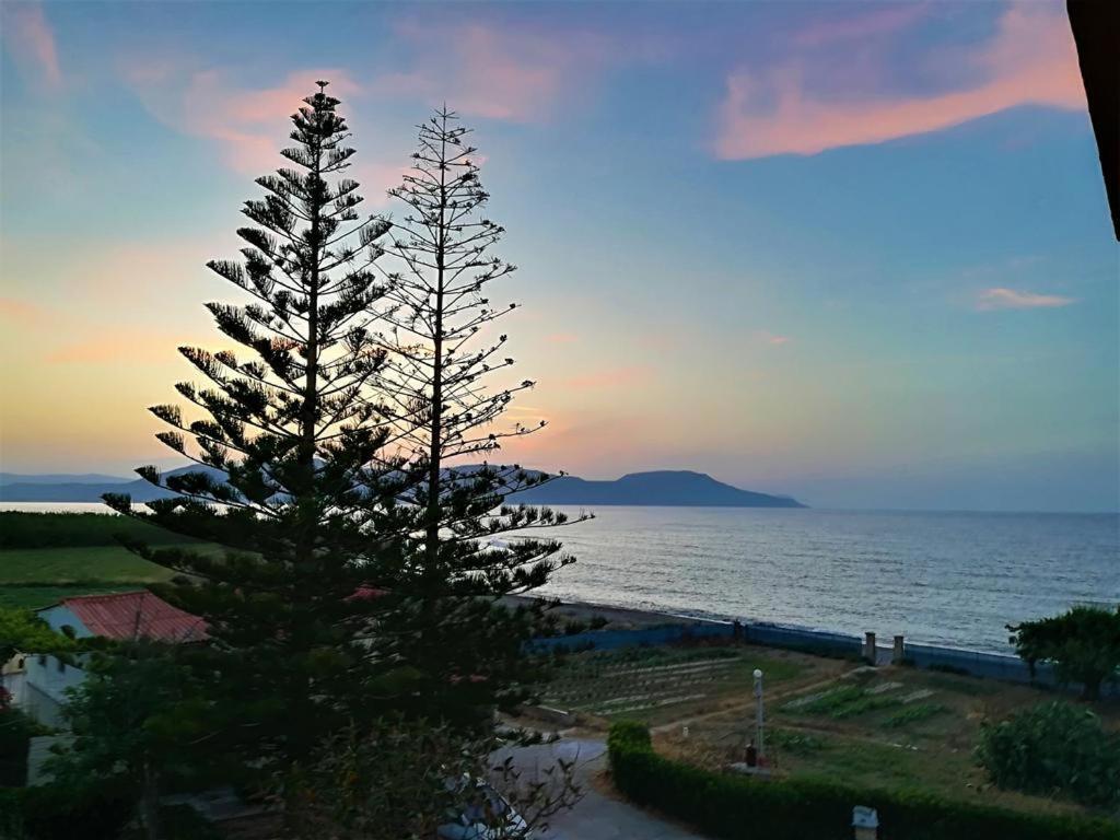 Musela Studios Episkopi-Chania Exteriör bild